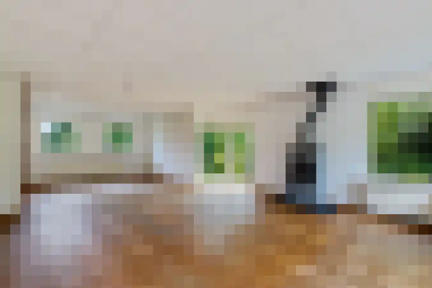Stiendollen 3 Oudemirdum thumbnail 6