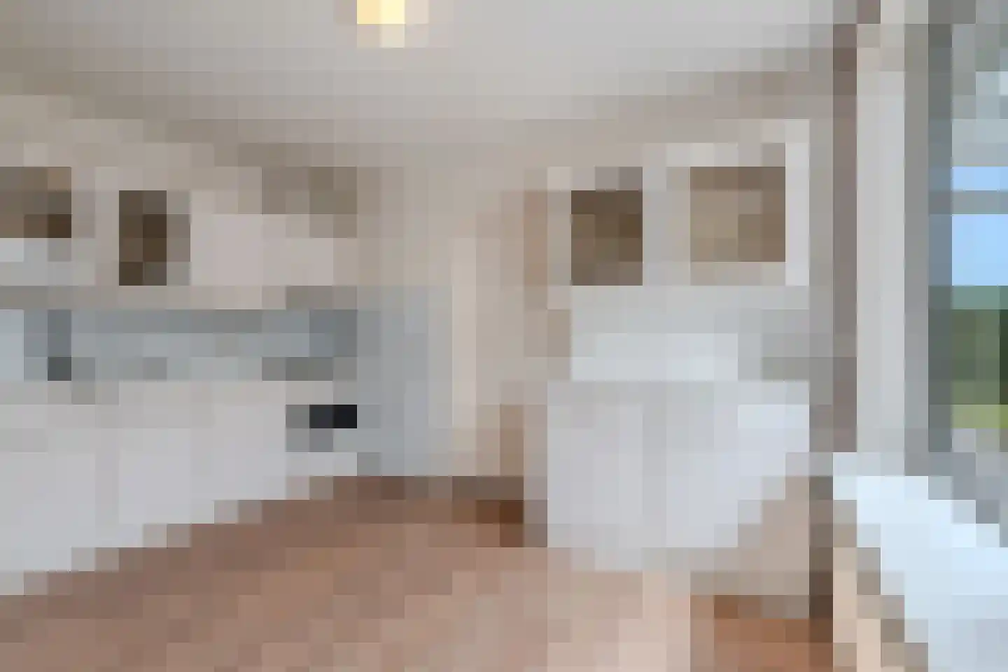 Stiendollen 4 Oudemirdum thumbnail 25