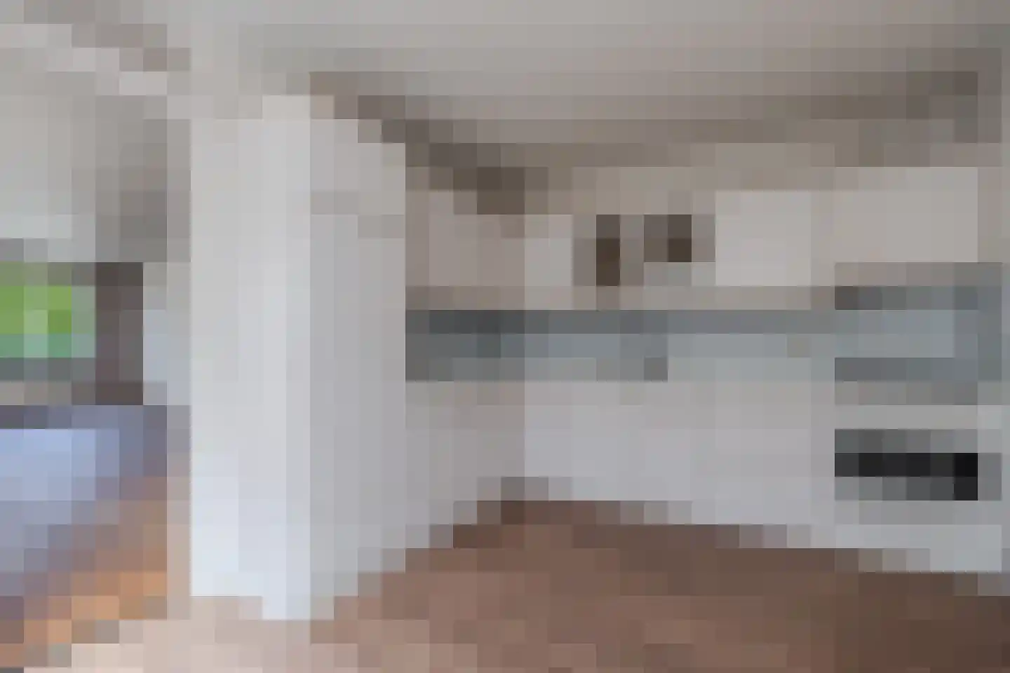 Stiendollen 4 Oudemirdum thumbnail 27