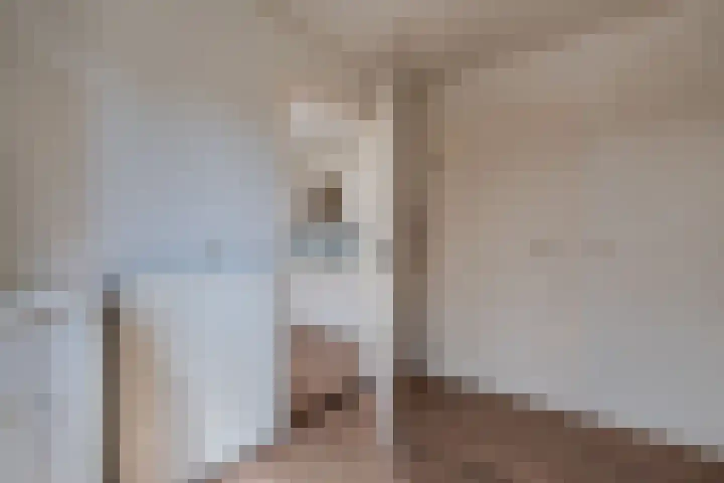 Stiendollen 4 Oudemirdum thumbnail 31