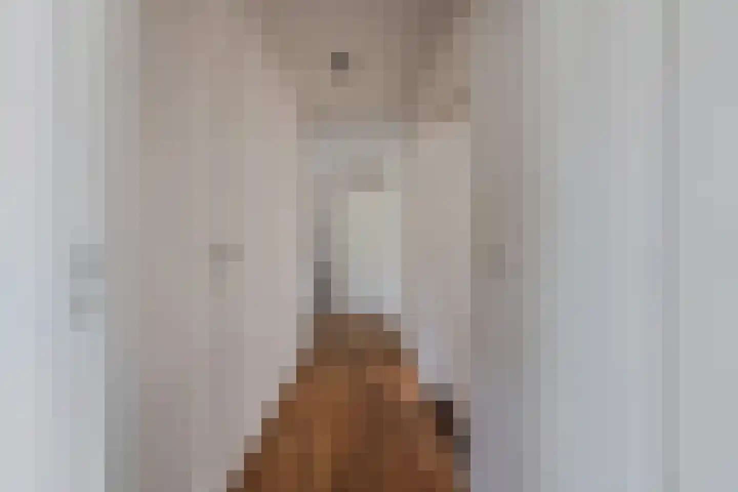 Stiendollen 4 Oudemirdum thumbnail 34