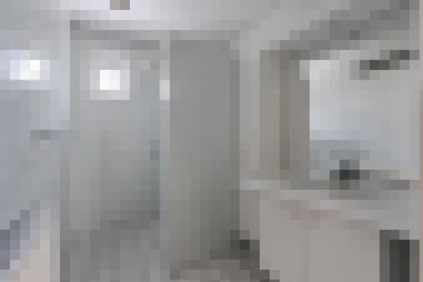 Stiendollen 4 Oudemirdum thumbnail 36
