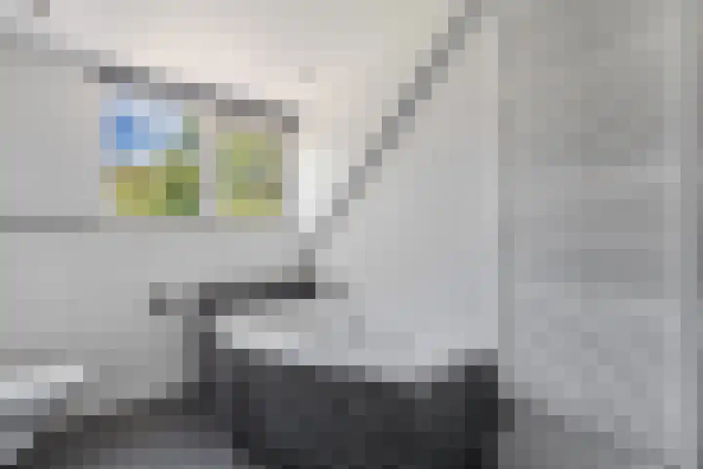 Stiendollen 4 Oudemirdum thumbnail 48