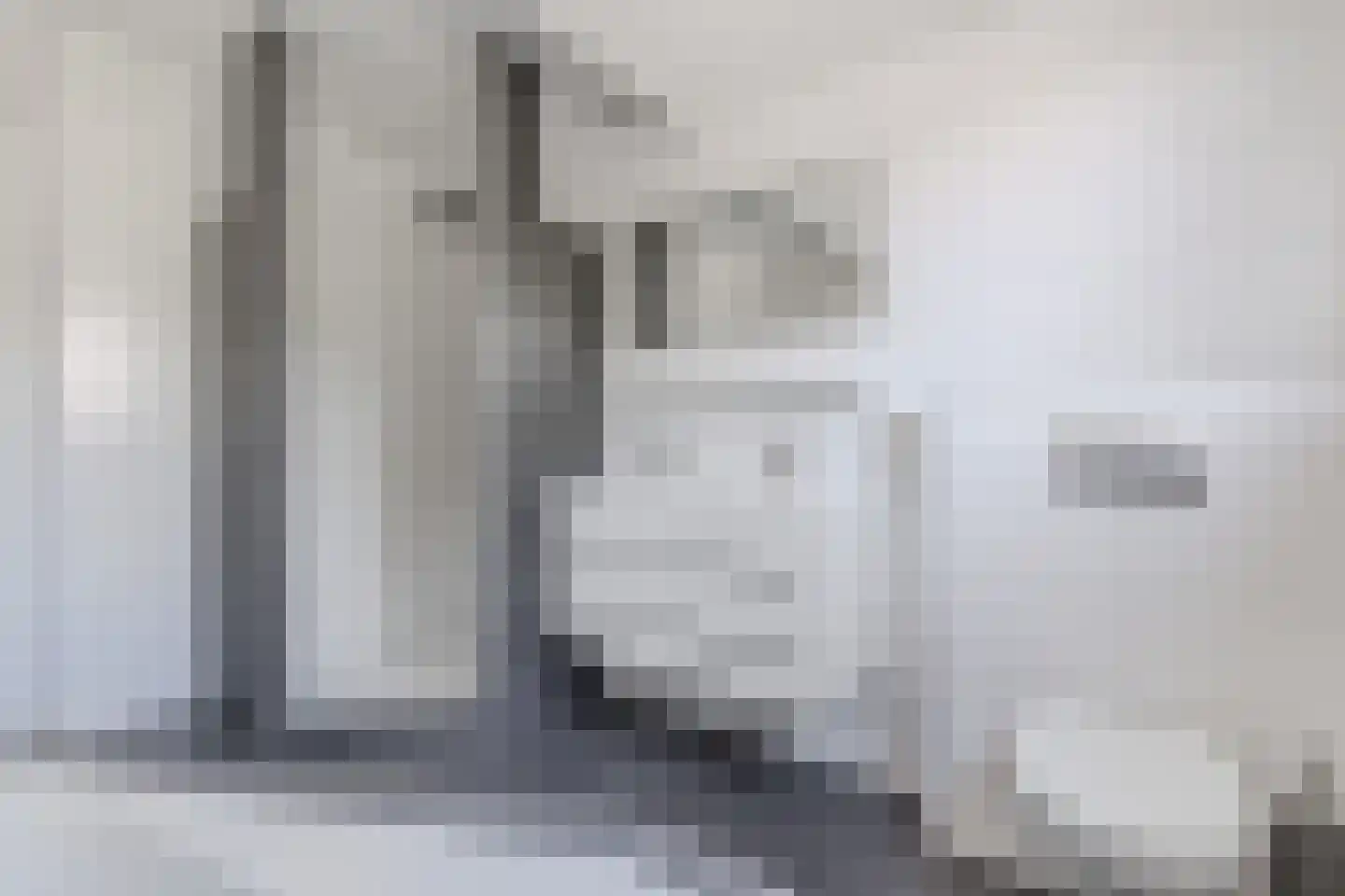 Stiendollen 4 Oudemirdum thumbnail 49