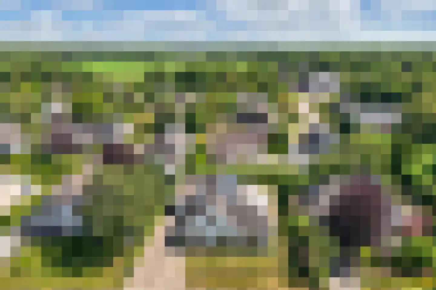 Stiendollen 4 Oudemirdum thumbnail 6