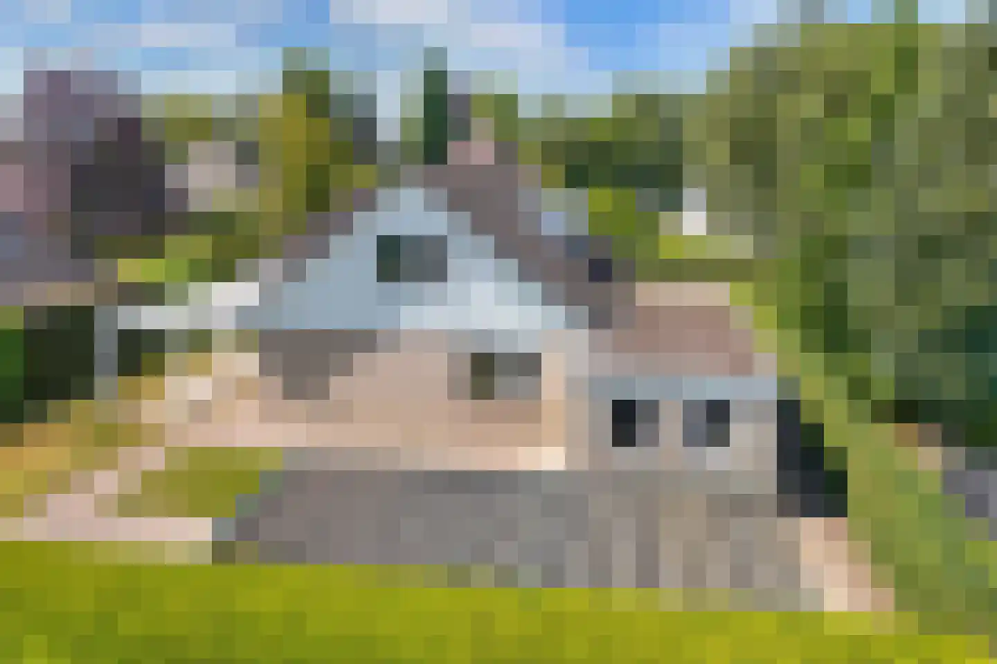Stiendollen 4 Oudemirdum thumbnail 69