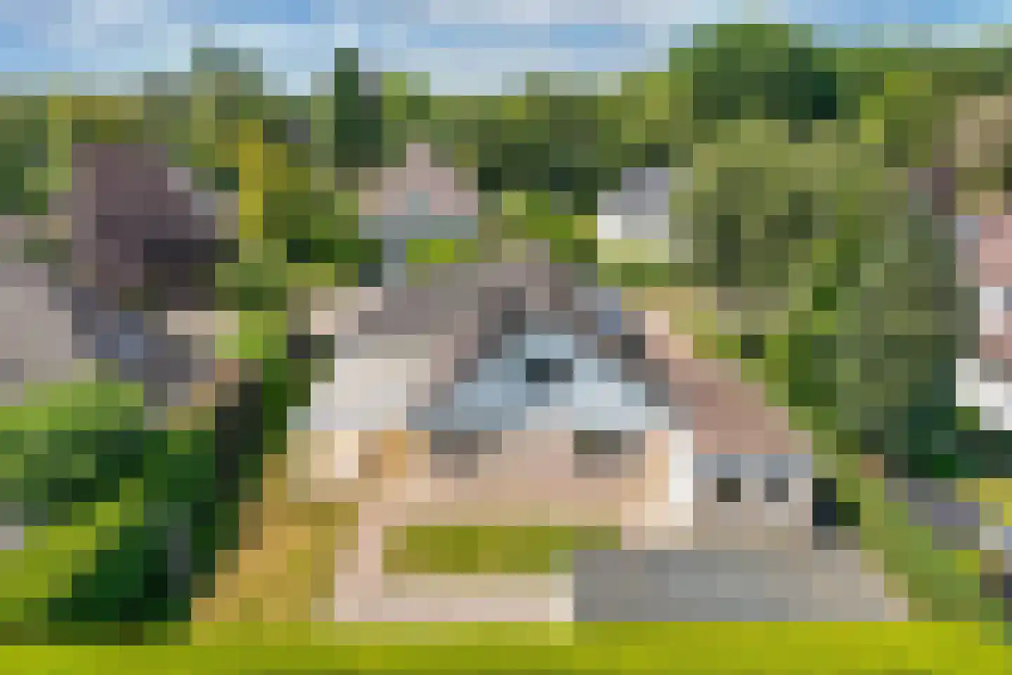 Stiendollen 4 Oudemirdum thumbnail 70