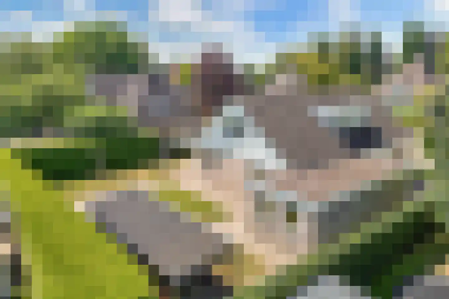 Stiendollen 4 Oudemirdum thumbnail 72