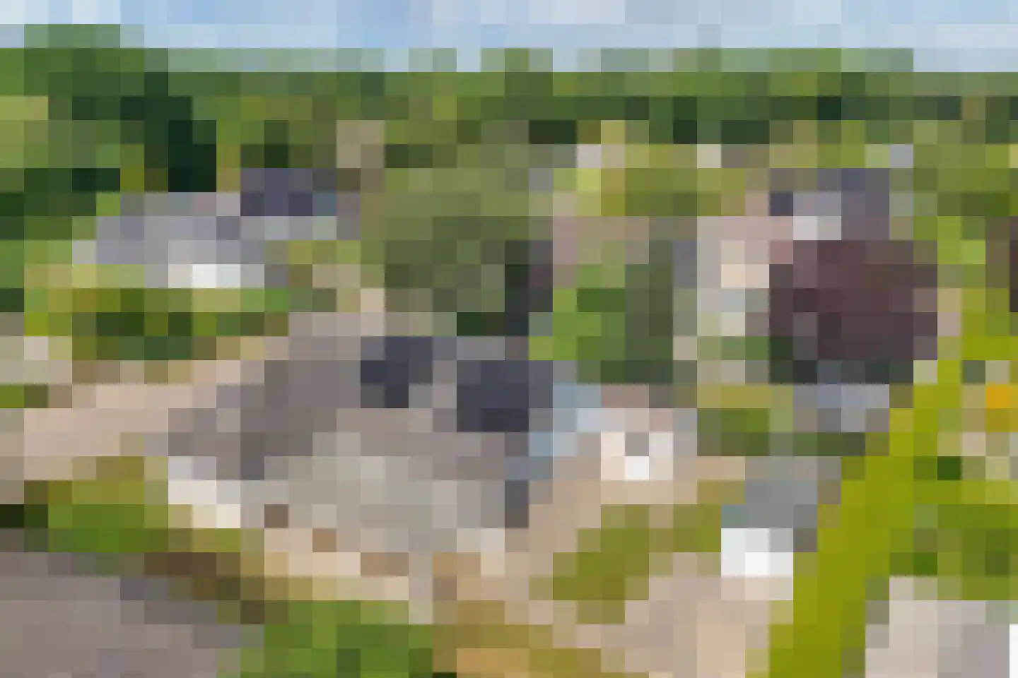 Stiendollen 4 Oudemirdum thumbnail 73