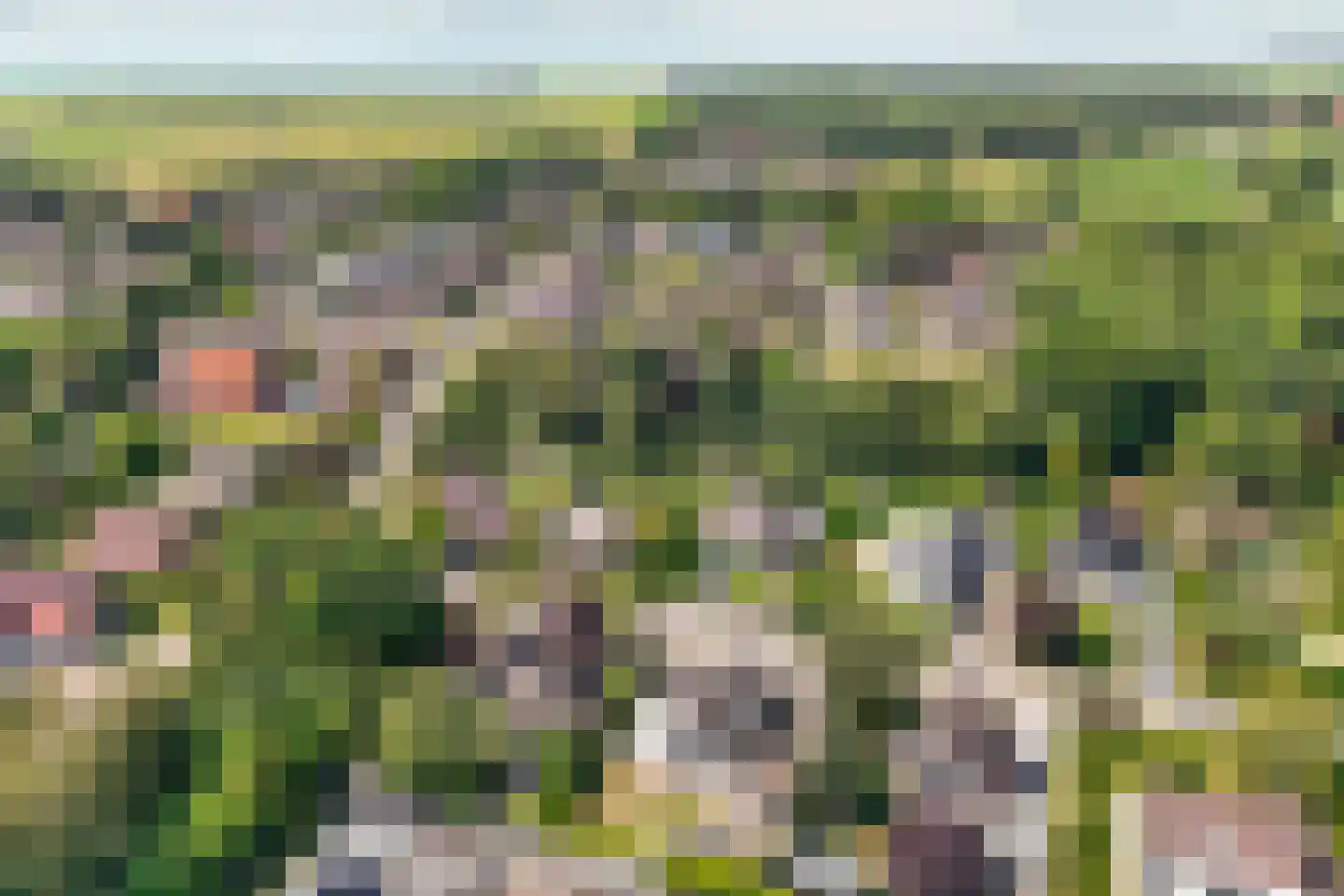 Stiendollen 4 Oudemirdum thumbnail 74