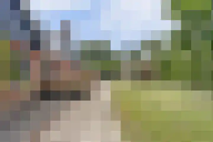 Stienikkers 2 Workum thumbnail 38