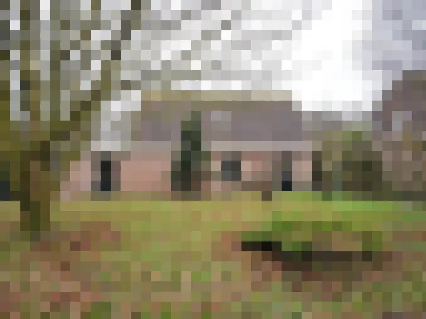 Stienpad 13 Oosterstreek