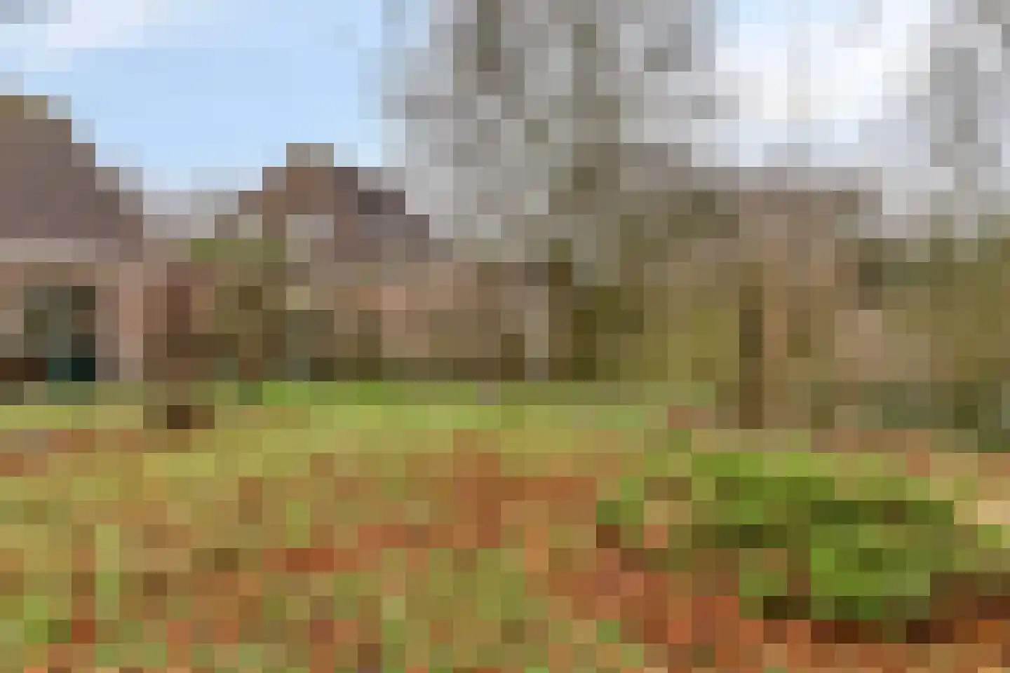 Stienpad 13 Oosterstreek thumbnail 26
