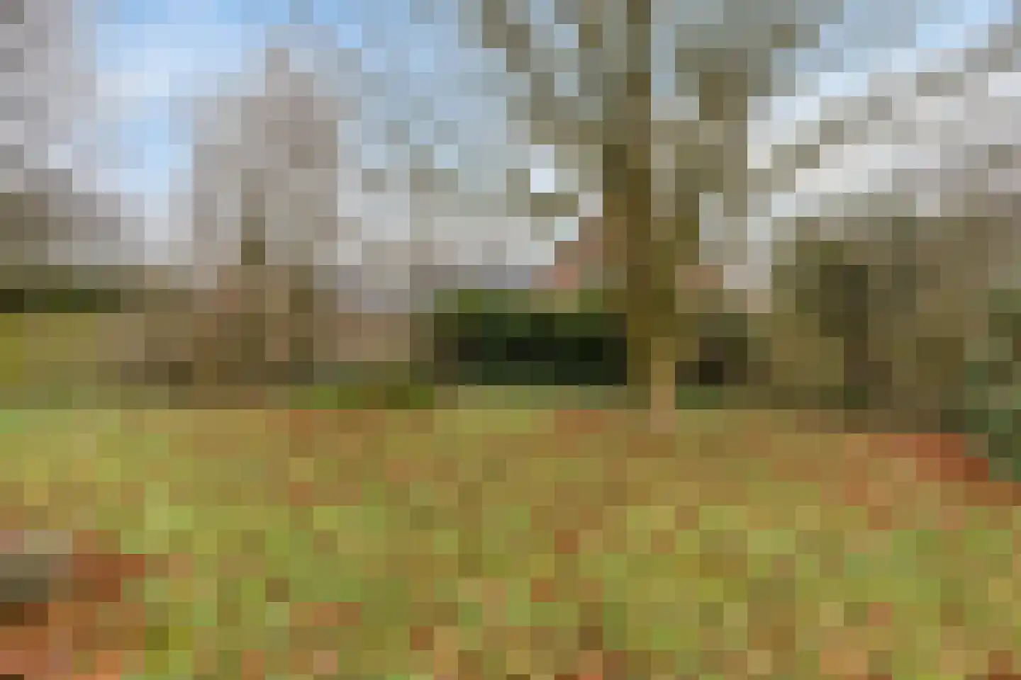 Stienpad 13 Oosterstreek thumbnail 27