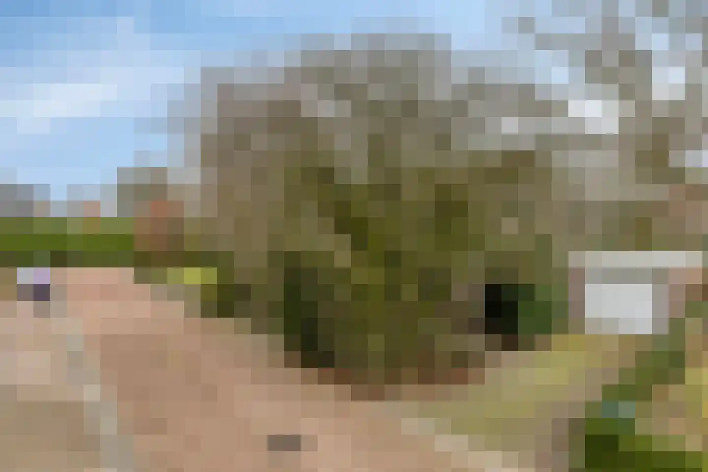 Stienpad 13 Oosterstreek thumbnail 4