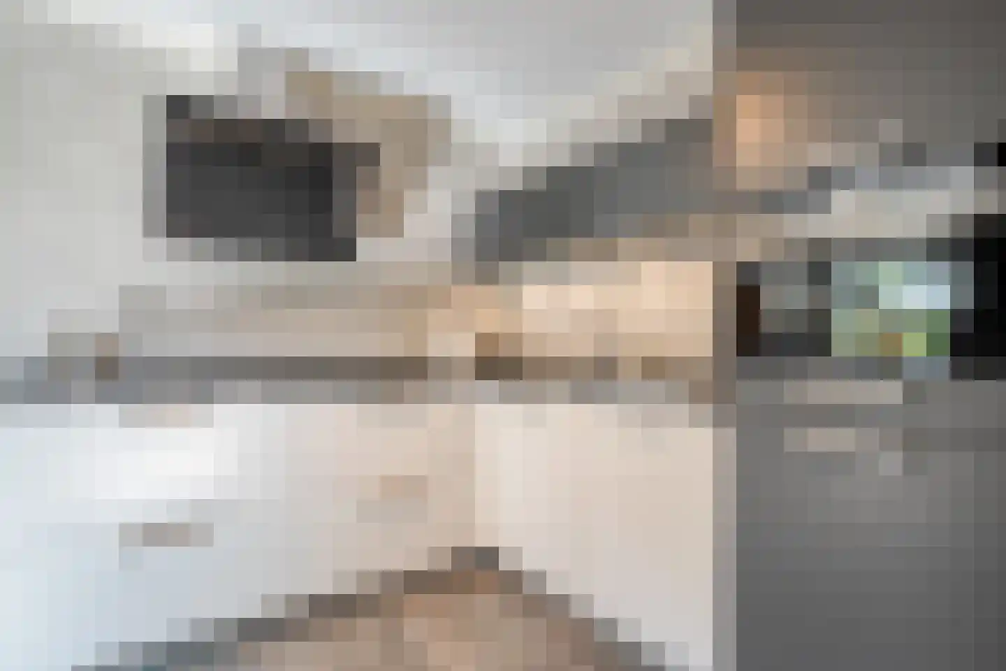 Stiepel 10 Wierden thumbnail 10
