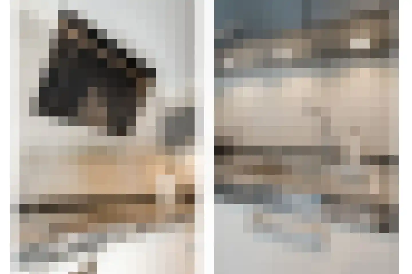 Stiepel 10 Wierden thumbnail 12