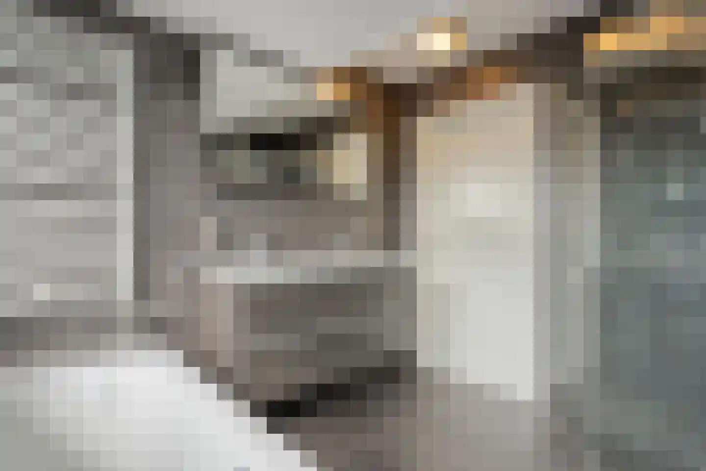 Stiepel 10 Wierden thumbnail 24