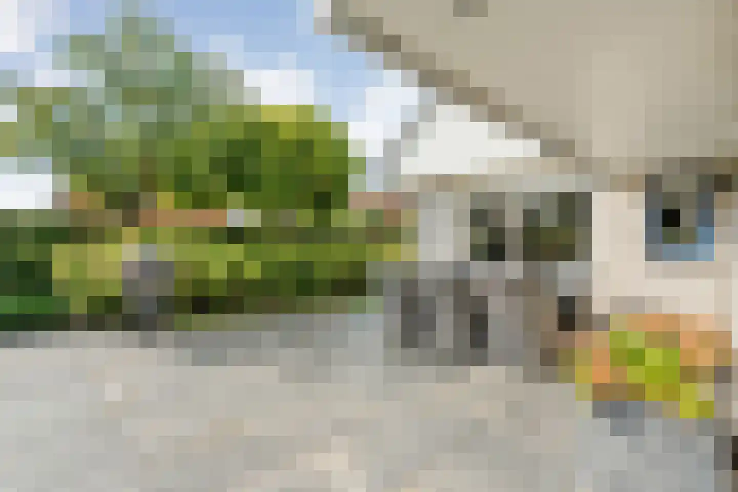 Stiepel 10 Wierden thumbnail 29