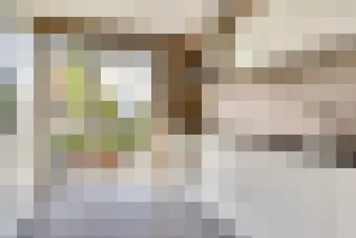 Stier 1 Elst thumbnail 12