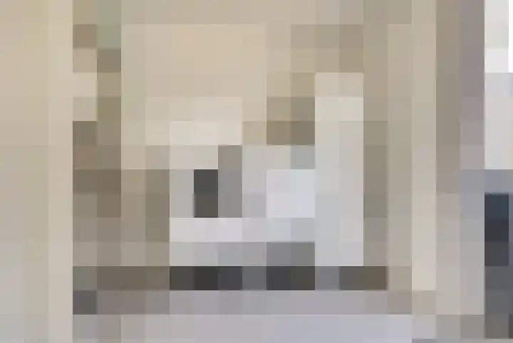 Stier 1 Elst thumbnail 14