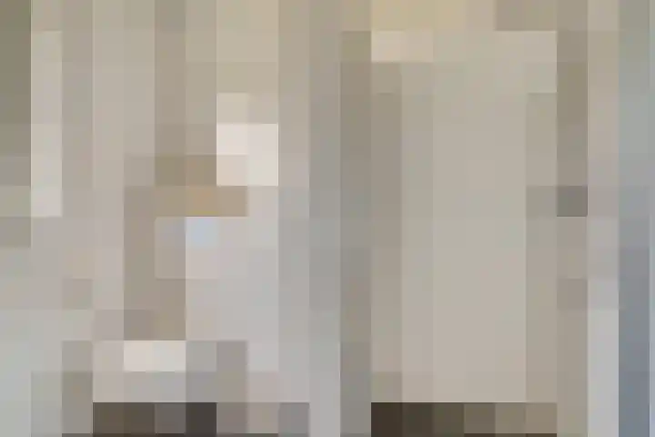 Stier 1 Elst thumbnail 26