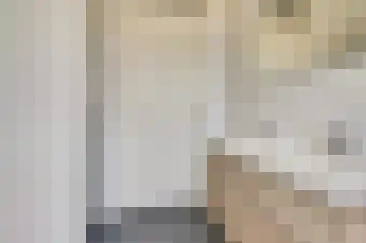 Stier 1 Elst thumbnail 27