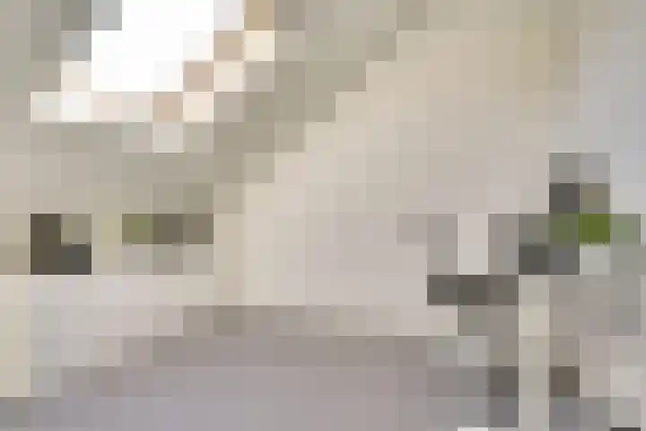 Stier 1 Elst thumbnail 28
