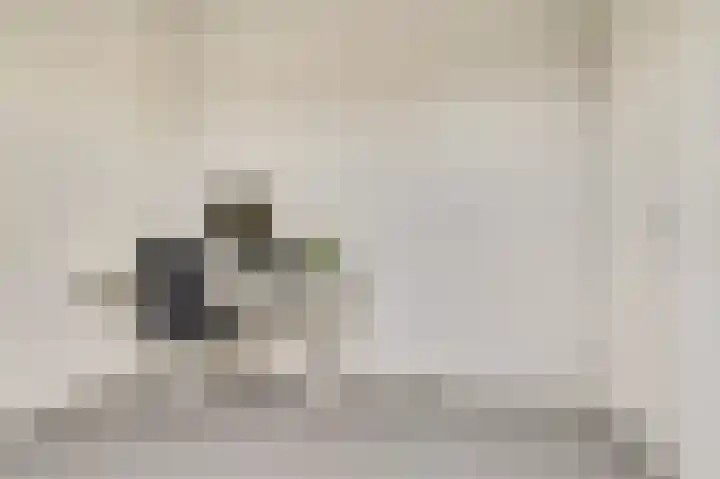 Stier 1 Elst thumbnail 29