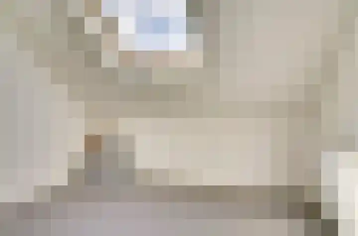Stier 1 Elst thumbnail 31