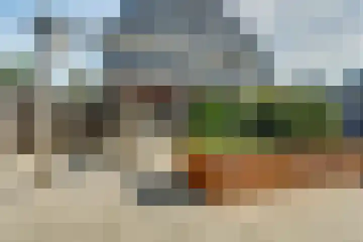 Stier 1 Elst thumbnail 32