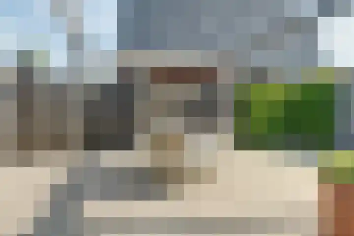 Stier 1 Elst thumbnail 33