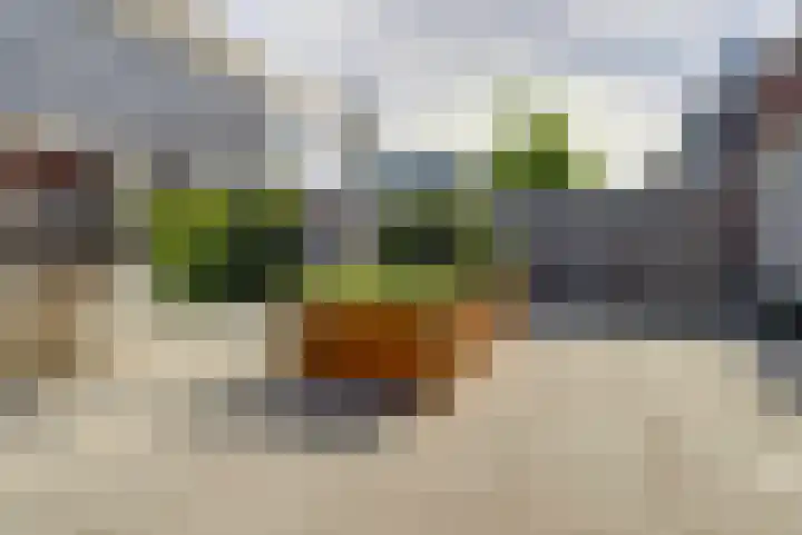 Stier 1 Elst thumbnail 35