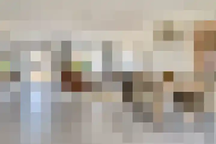 Stier 1 Elst thumbnail 4