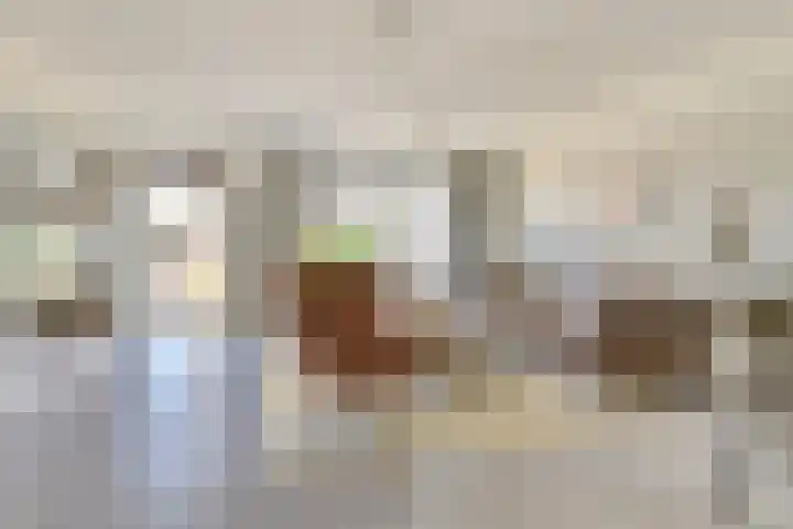 Stier 1 Elst thumbnail 5