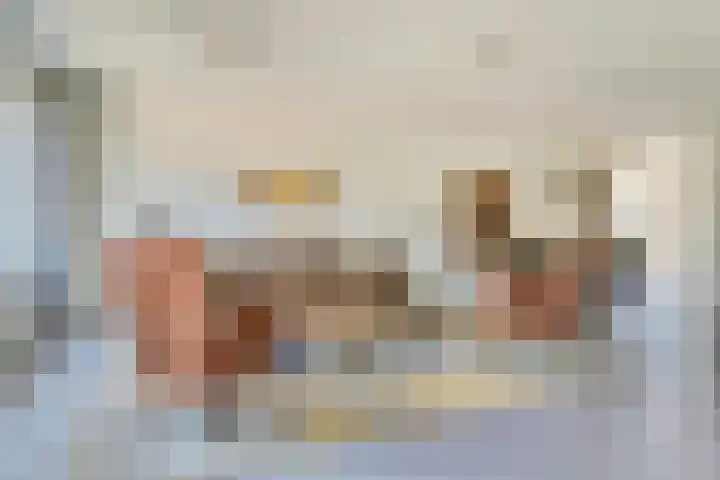 Stier 1 Elst thumbnail 7