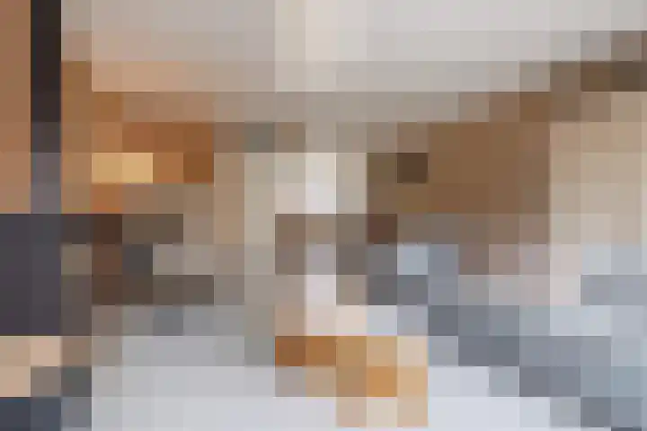 Stier 16 Elst thumbnail 10