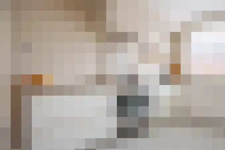 Stier 16 Elst thumbnail 12