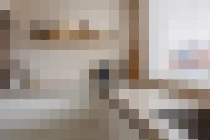 Stier 16 Elst thumbnail 13