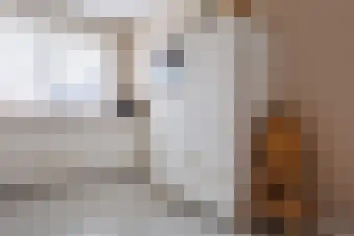 Stier 16 Elst thumbnail 15