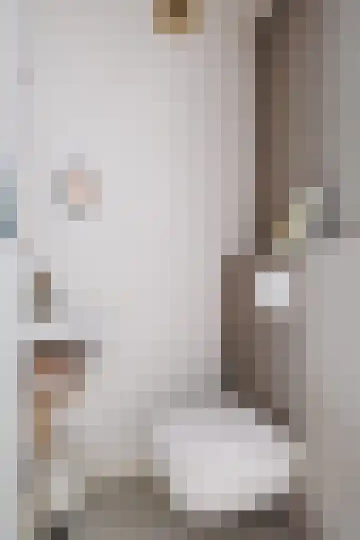 Stier 16 Elst thumbnail 17