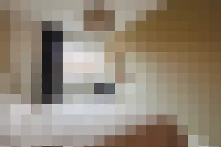 Stier 16 Elst thumbnail 20