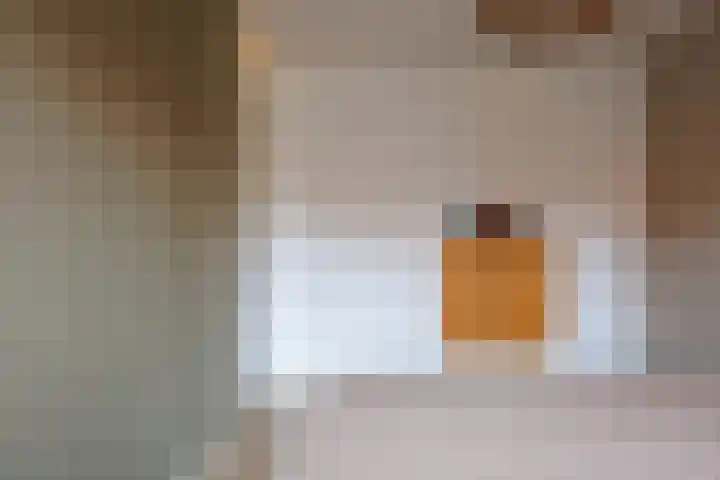 Stier 16 Elst thumbnail 21