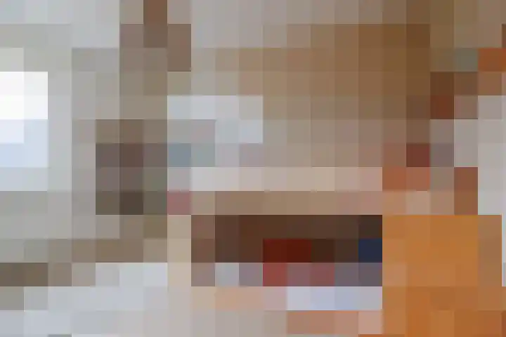 Stier 16 Elst thumbnail 23
