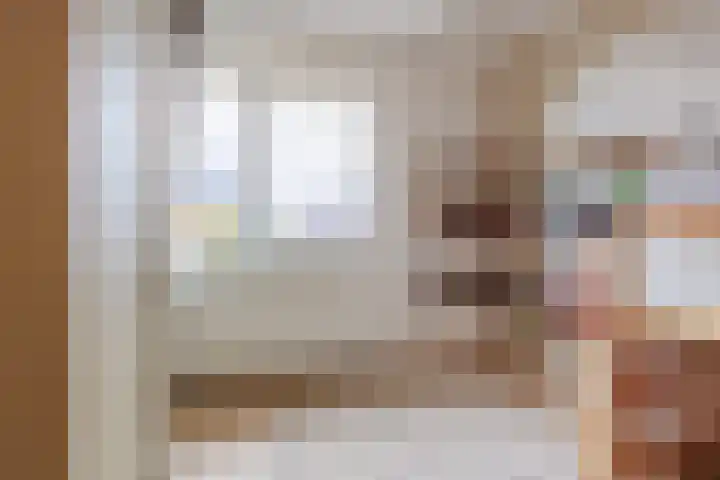 Stier 16 Elst thumbnail 24