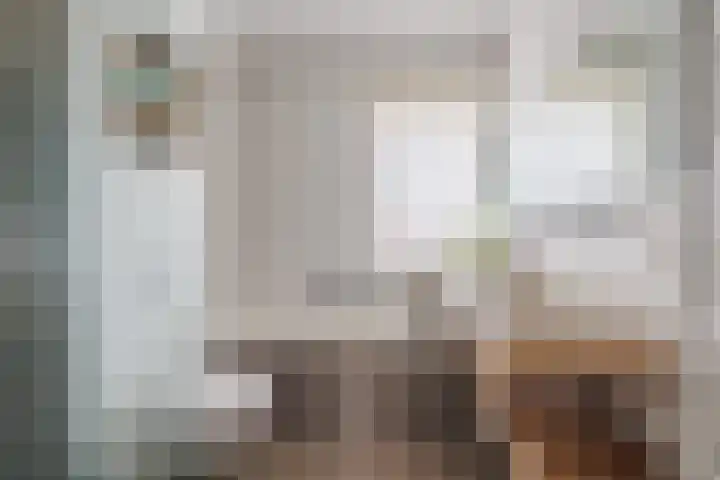 Stier 16 Elst thumbnail 25