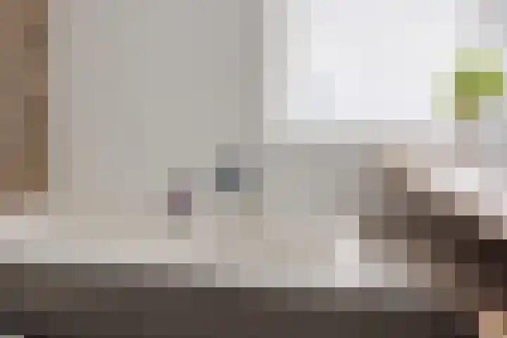 Stier 16 Elst thumbnail 26