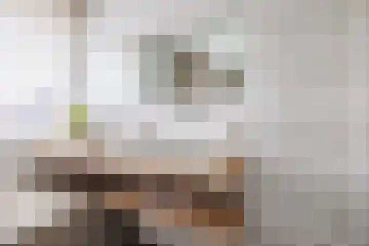 Stier 16 Elst thumbnail 28