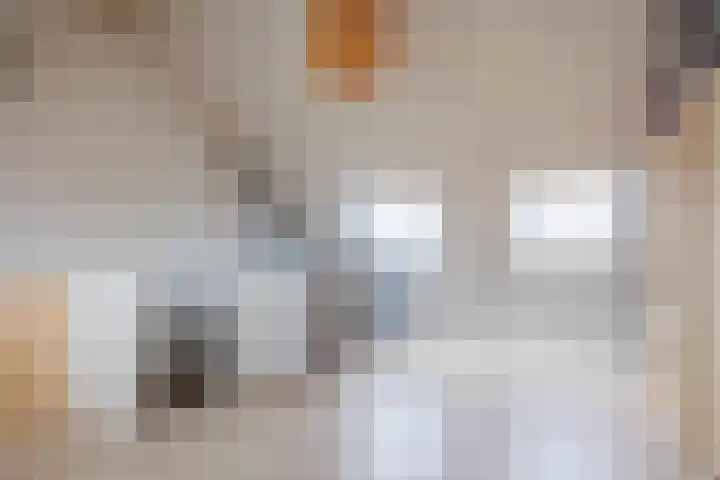 Stier 16 Elst thumbnail 33