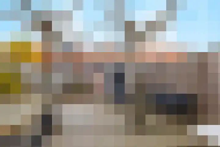 Stier 16 Elst thumbnail 34
